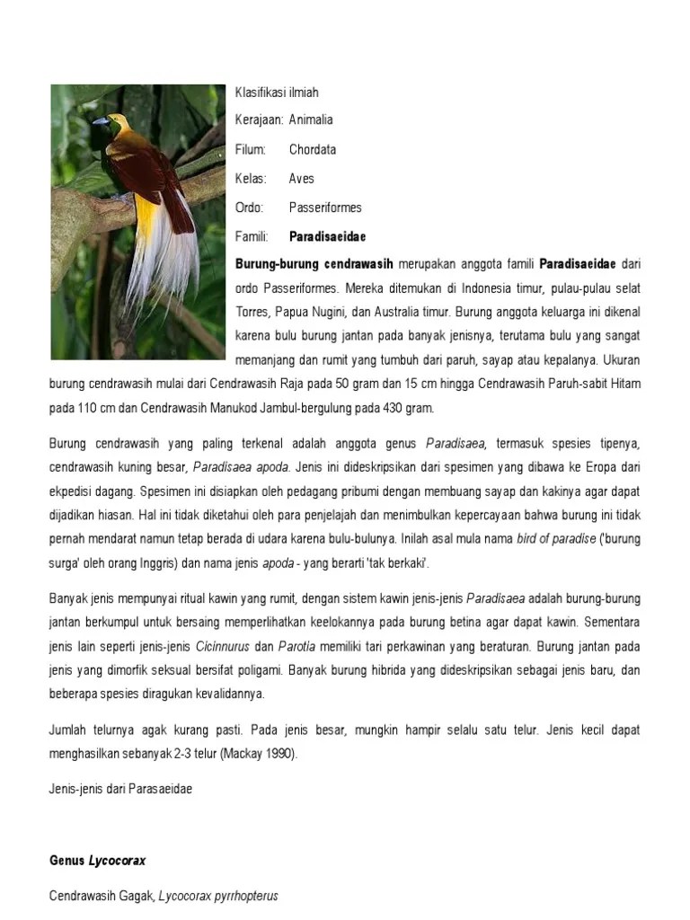 Klasifikasi Ilmiah Cendrawasih | PDF