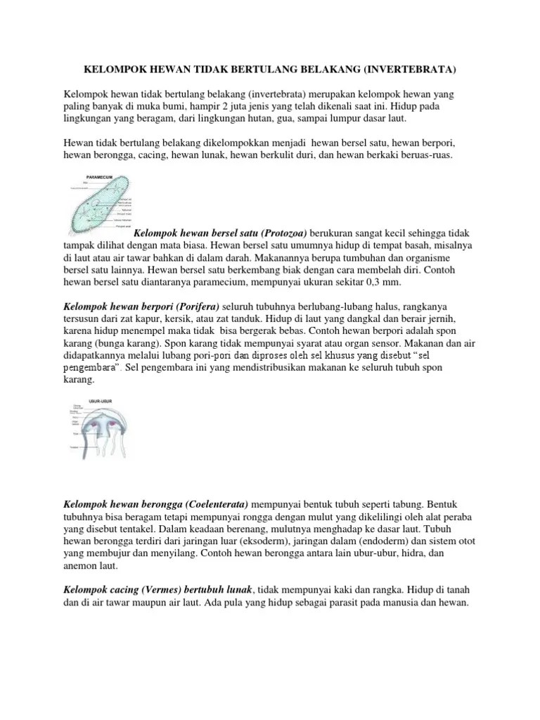 Anatomi Biologi | PDF