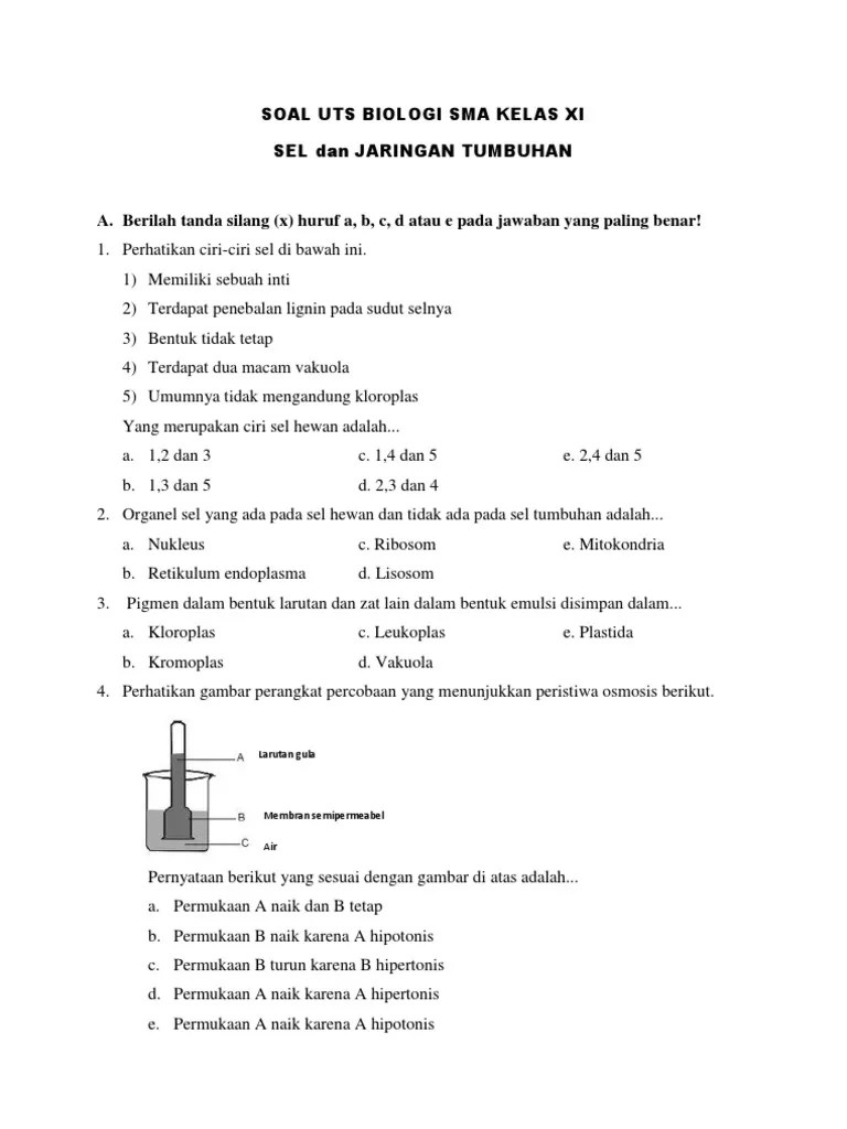 Kumpulan soal ini bisa dijadikan sebagai rujukan Soal Uts Kelas 11 Biologi Semester 1 Revisi Id