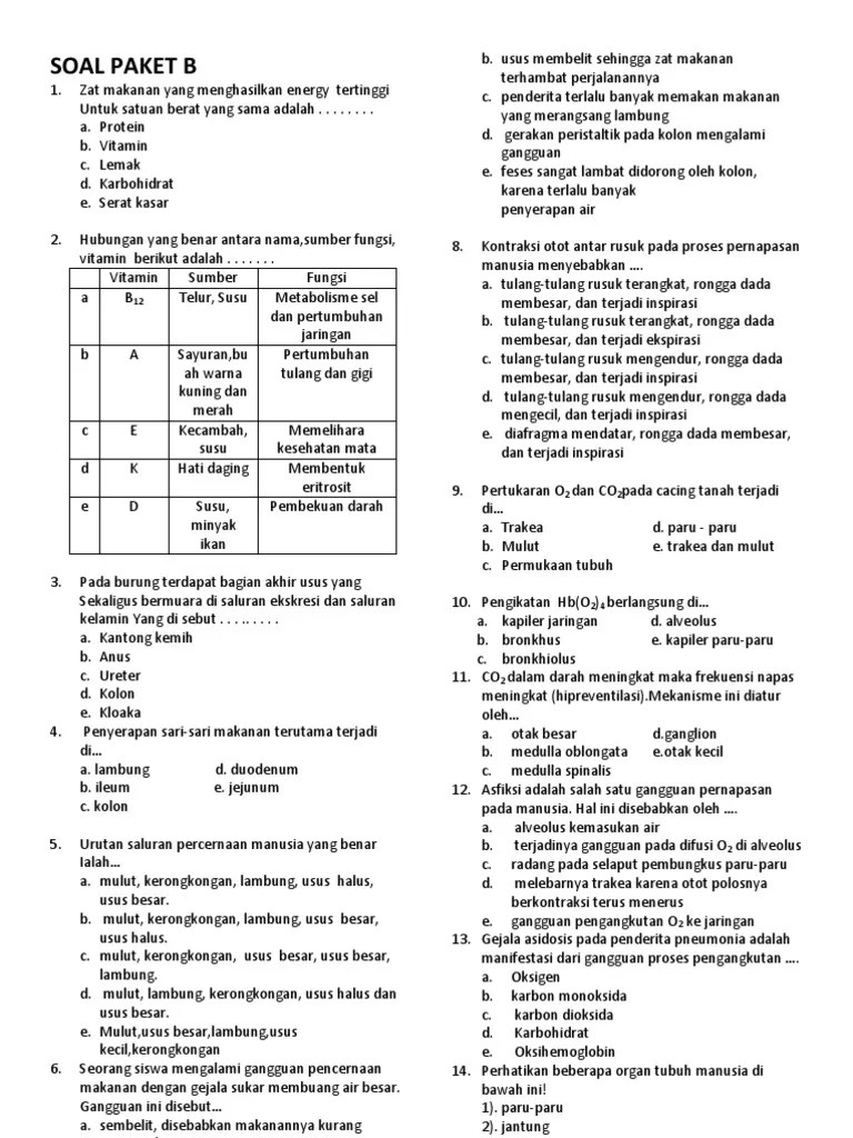 Mengapa Paru Paru Lambung Jantung Disebut Organ - Coba Sebutkan