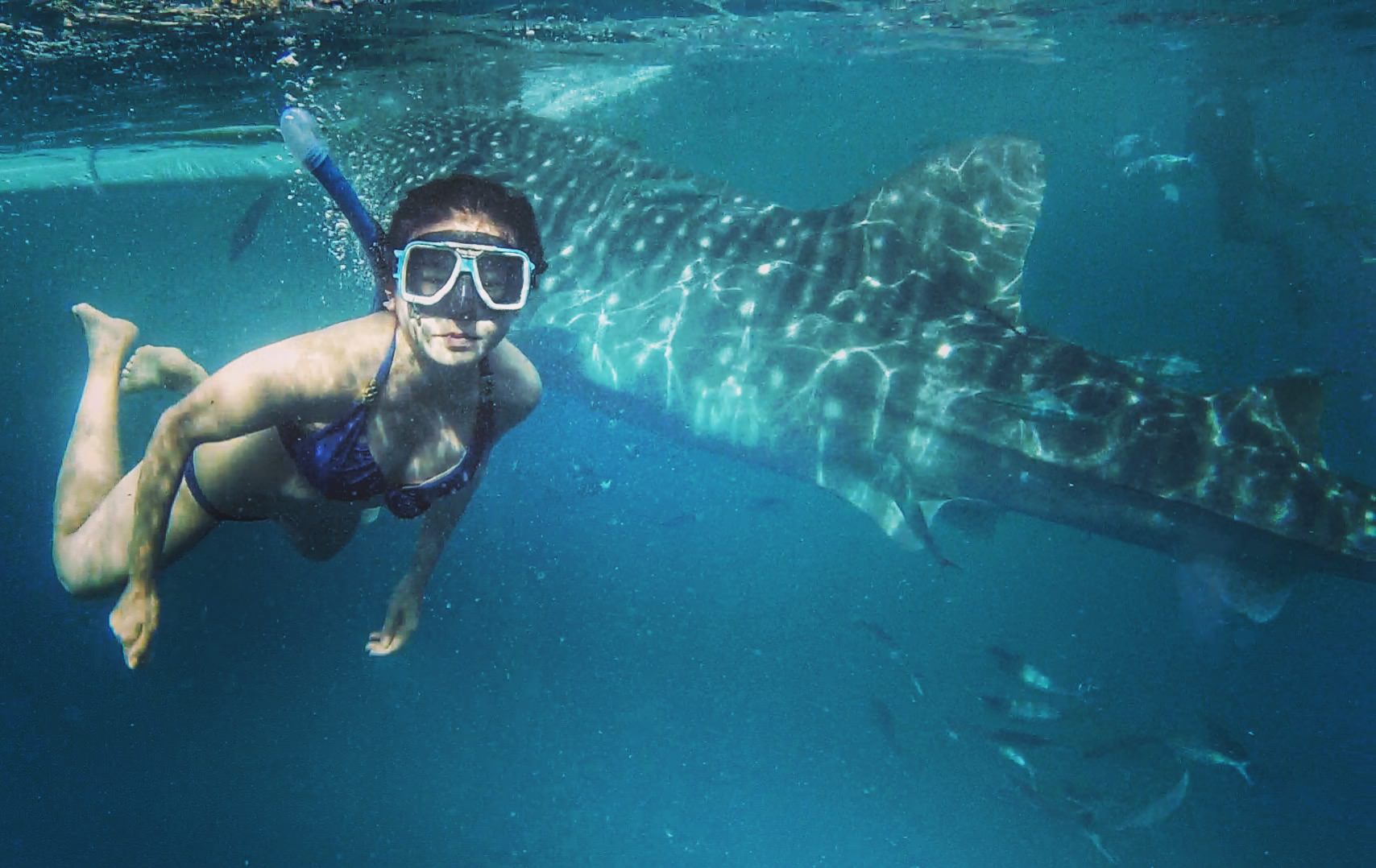 宿霧薄荷島七天含機票不用兩萬元！行程規劃必遊景點交通懶人包，含自製旅遊手冊分享