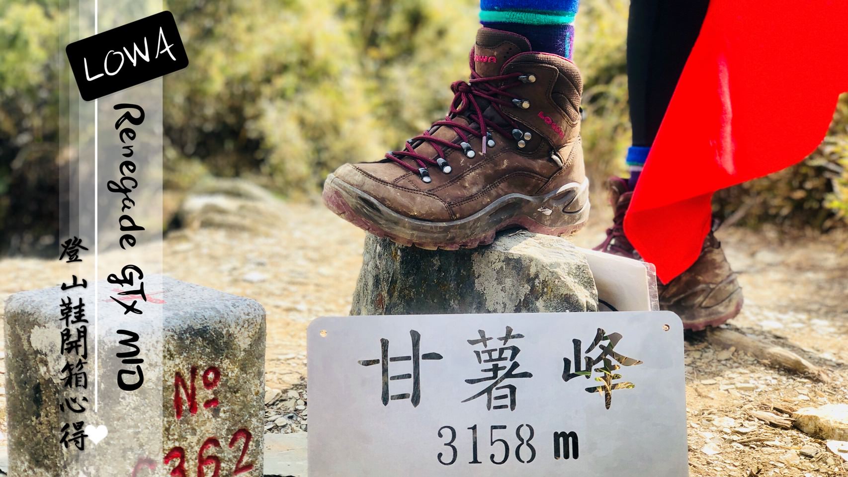 登山鞋推薦 LOWA RENEGADE GTX® MID 開箱心得