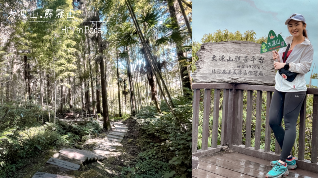 大凍山.霹靂山O型連走｜嘉義奮起湖小百岳，含GPX檔下載