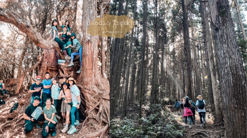 高島縱走攻略｜六星級森林步道野營，含GPX檔下載