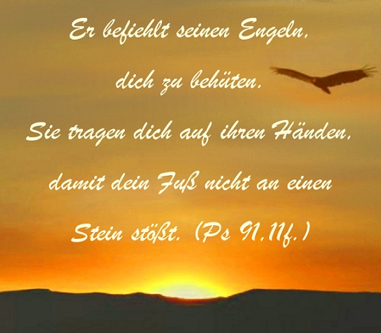 Das Vertrauen Auf Gott – Unerschütterlich - Heilige Schrift - Heilige Menschen 485_x_555_jpg