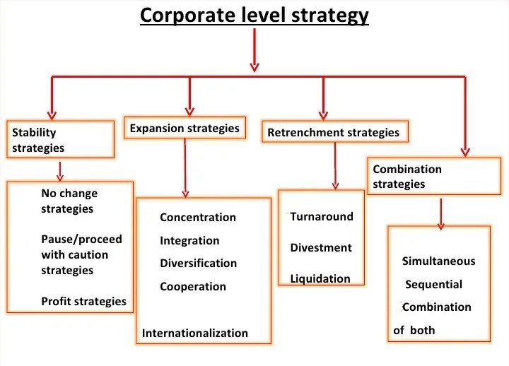 Corporate Level Strategy Indiafreenotes