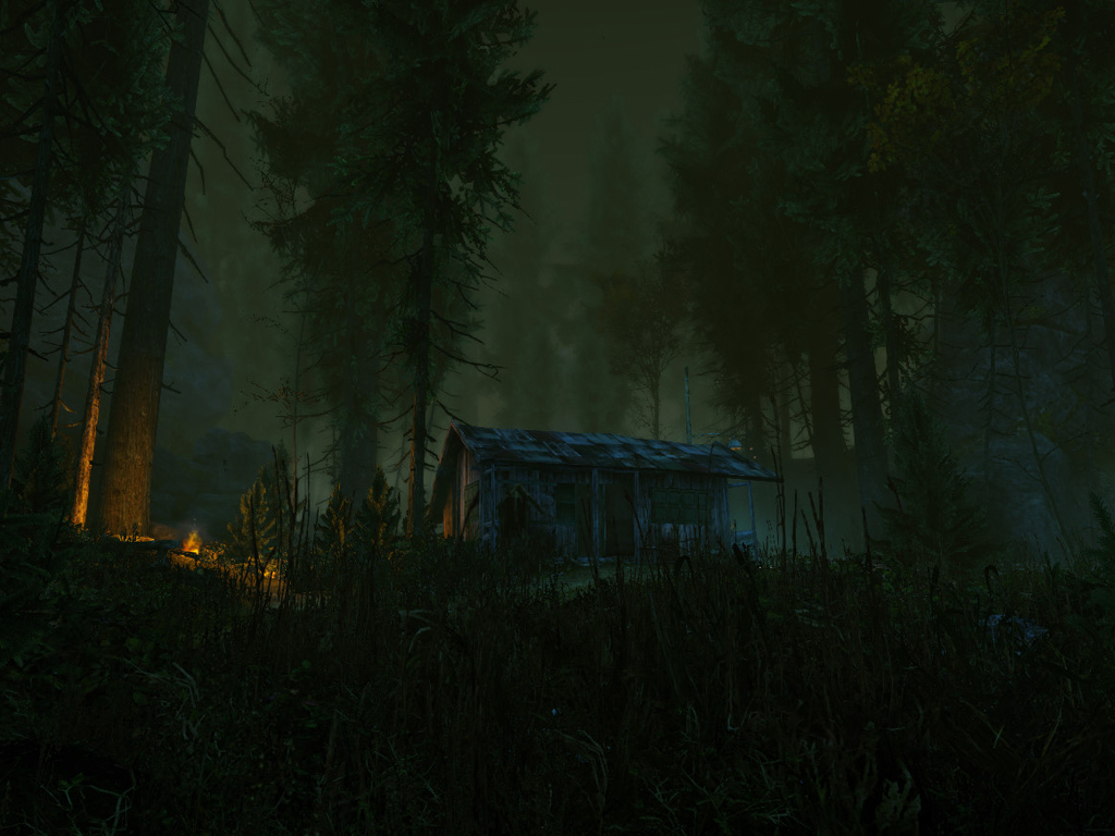 cursed forest