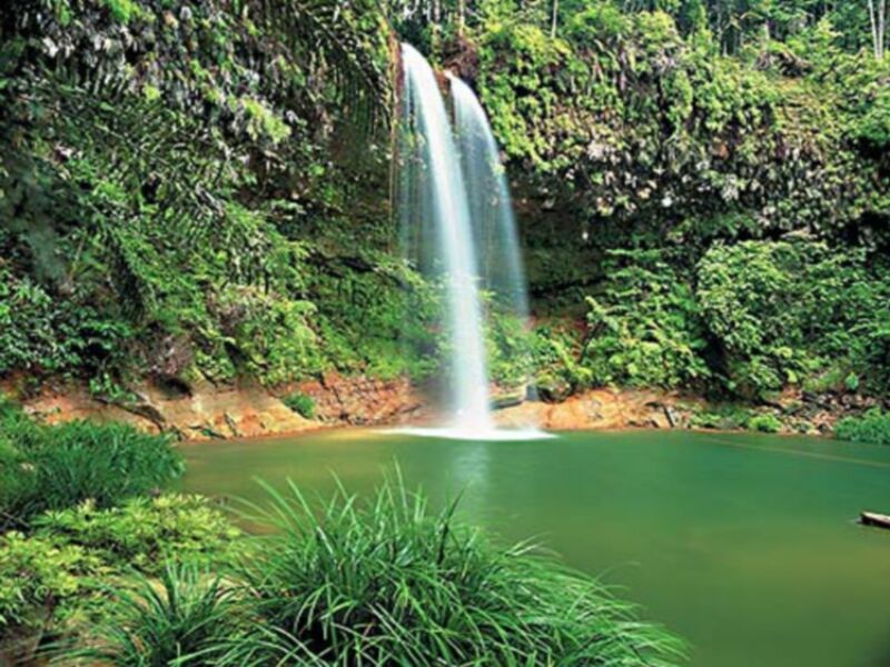Massa berang dari suku dayak bentrok dengan pendatang madura di . Malaysia, Borneo