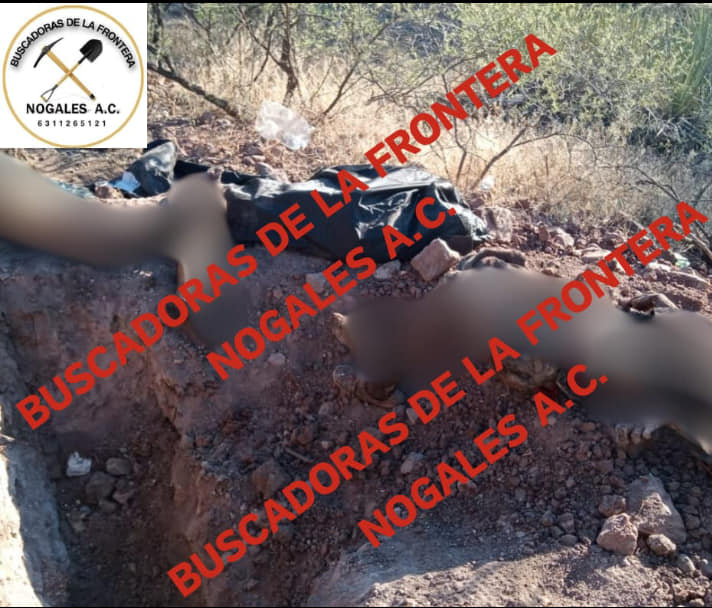 Fosas6