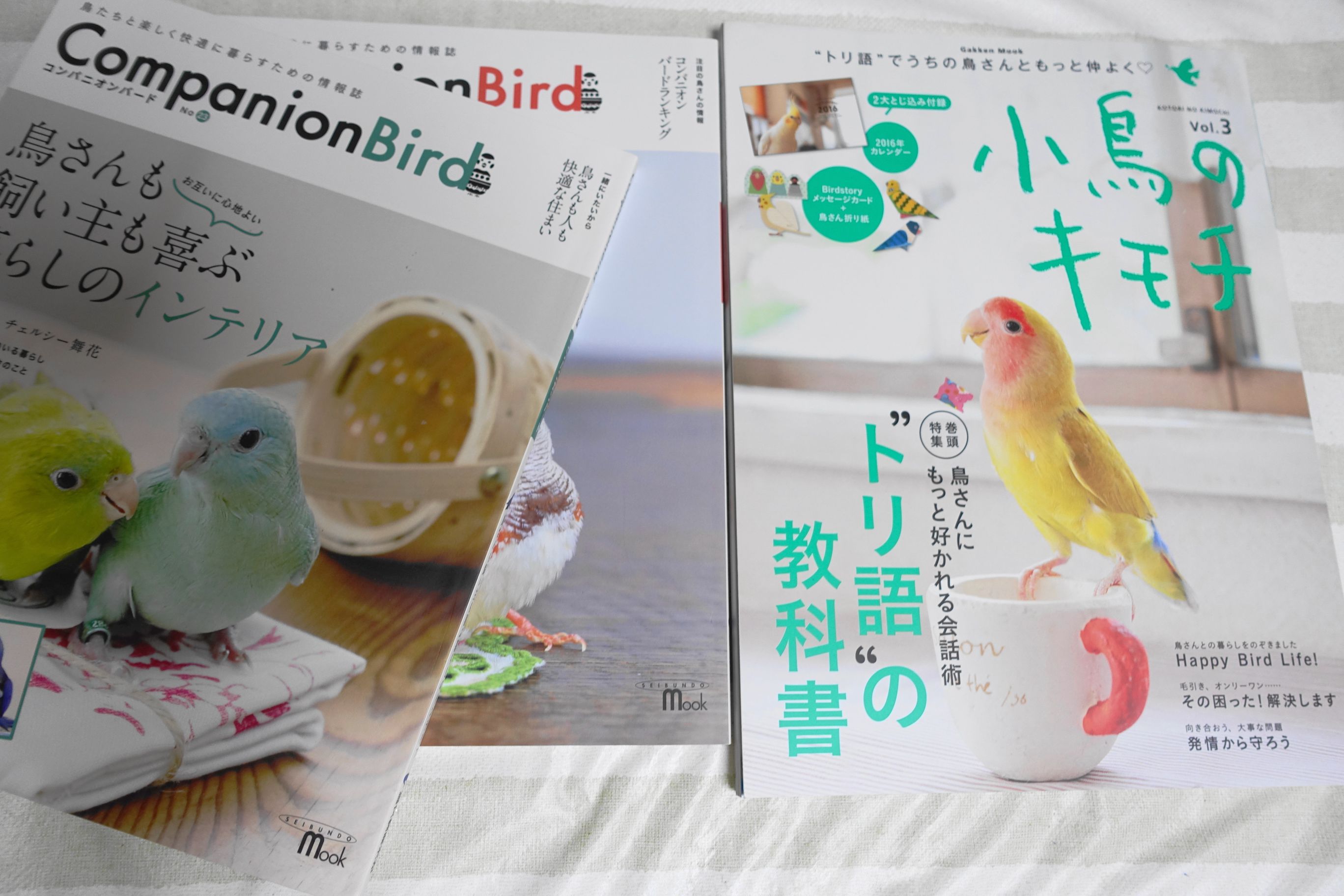 ALL BIRDS(オールバード)が2016年10月で休刊を発表 | インコ生活〜飼い