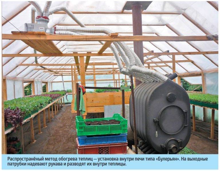 Какое отопление лучше для теплицы зимой