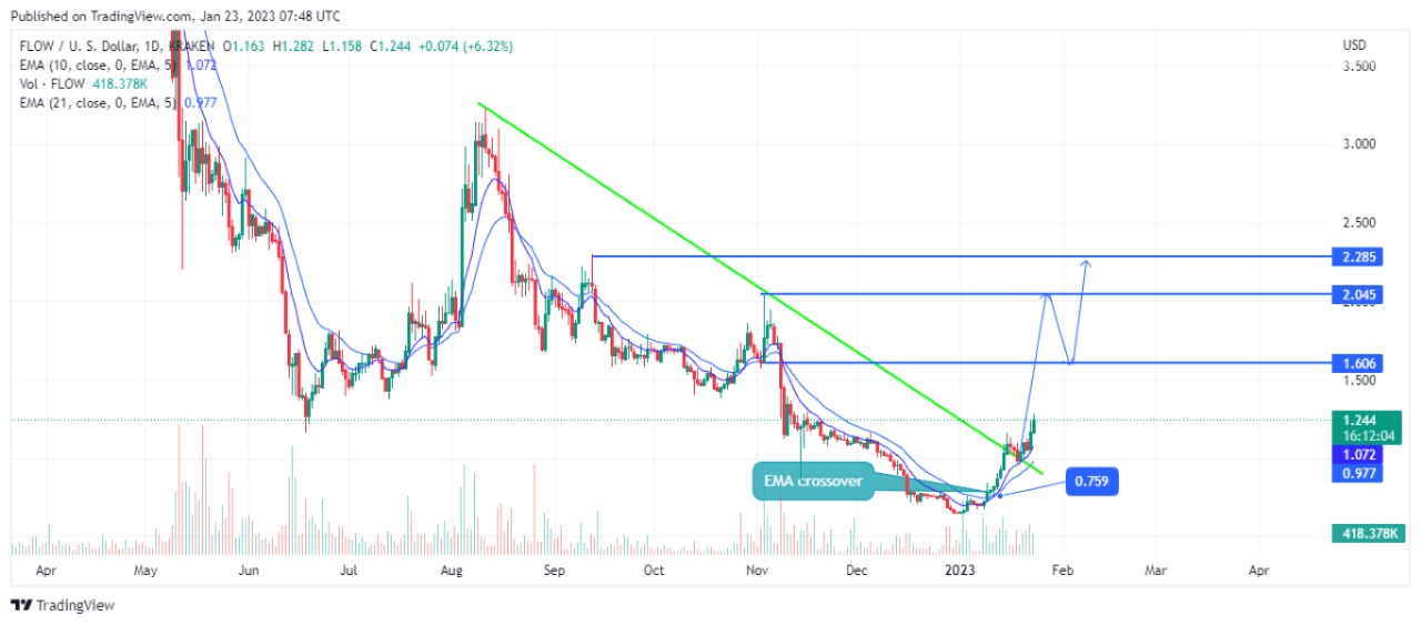 Flow Price Prediction