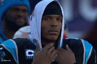 cam7.gif
