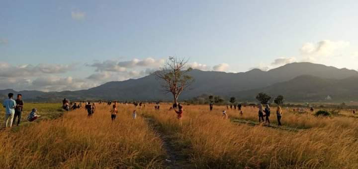 Ladang Ilalang di Dusun Buntage Jadi Destinasi Wisata Baru - Insidelombok