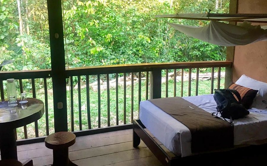 These tours include both short and long journeys that you can work into vacations to incredible destinations in the usa. Amazon Jungle Stay Puerto Maldonado Peru