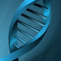 International Research Consultants