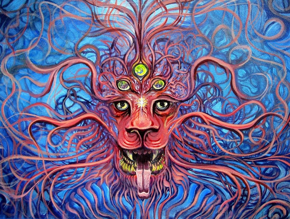 Arte Psicodelico Intranerso