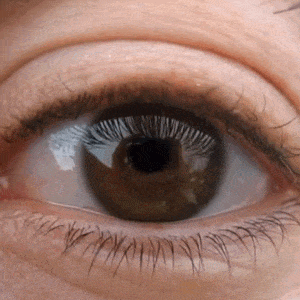 Eine auftraggeberin ist opfer eines schürzenjägers und betrügers geworden. Podcast #3 Reality is an evolved illusion - Inverted Passion