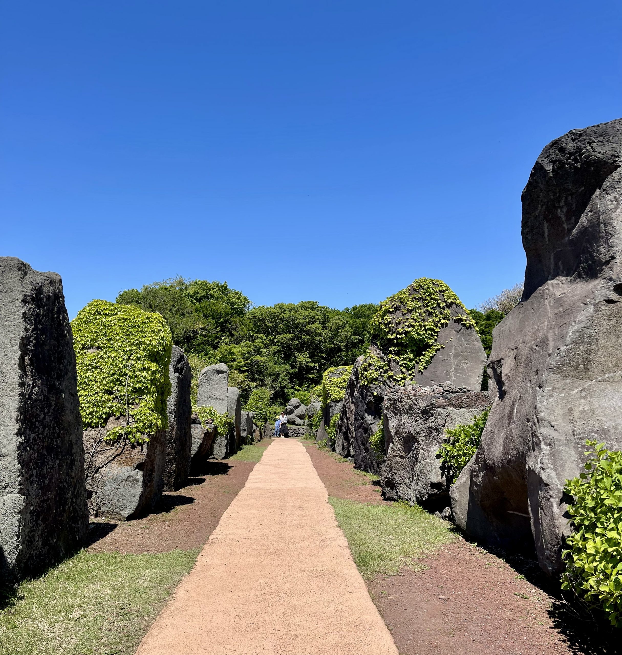 Field Notes Jeju Stone Park (제주돌문화공원) Chasing Life!