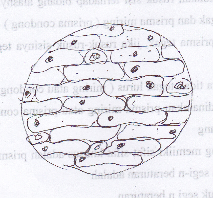 Menurut eko susilo, karya ilmiah atau karya ilmiah adalah karya tulis yang dari penyusunannya didasarkan pada penelitian, pengamatan, dan . Sebutkan Langkah Langkah Membuat Laporan Pengamatan Seputar Laporan