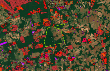 Área já contratada pelo CONSERV aparece como “ilha de conservação", ao centro. Demais polígonos representam embargos, autorizações de desmatamento, infrações e autuações ambientais de diversas fontes oficiais (Foto: IPAM)