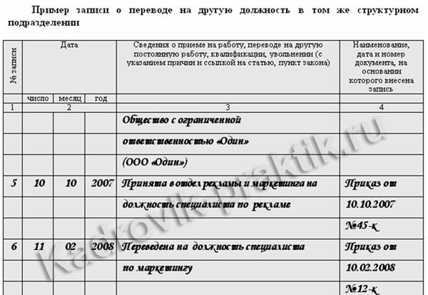 Запись о переводе на другую должность в трудовой книжке образец 2022