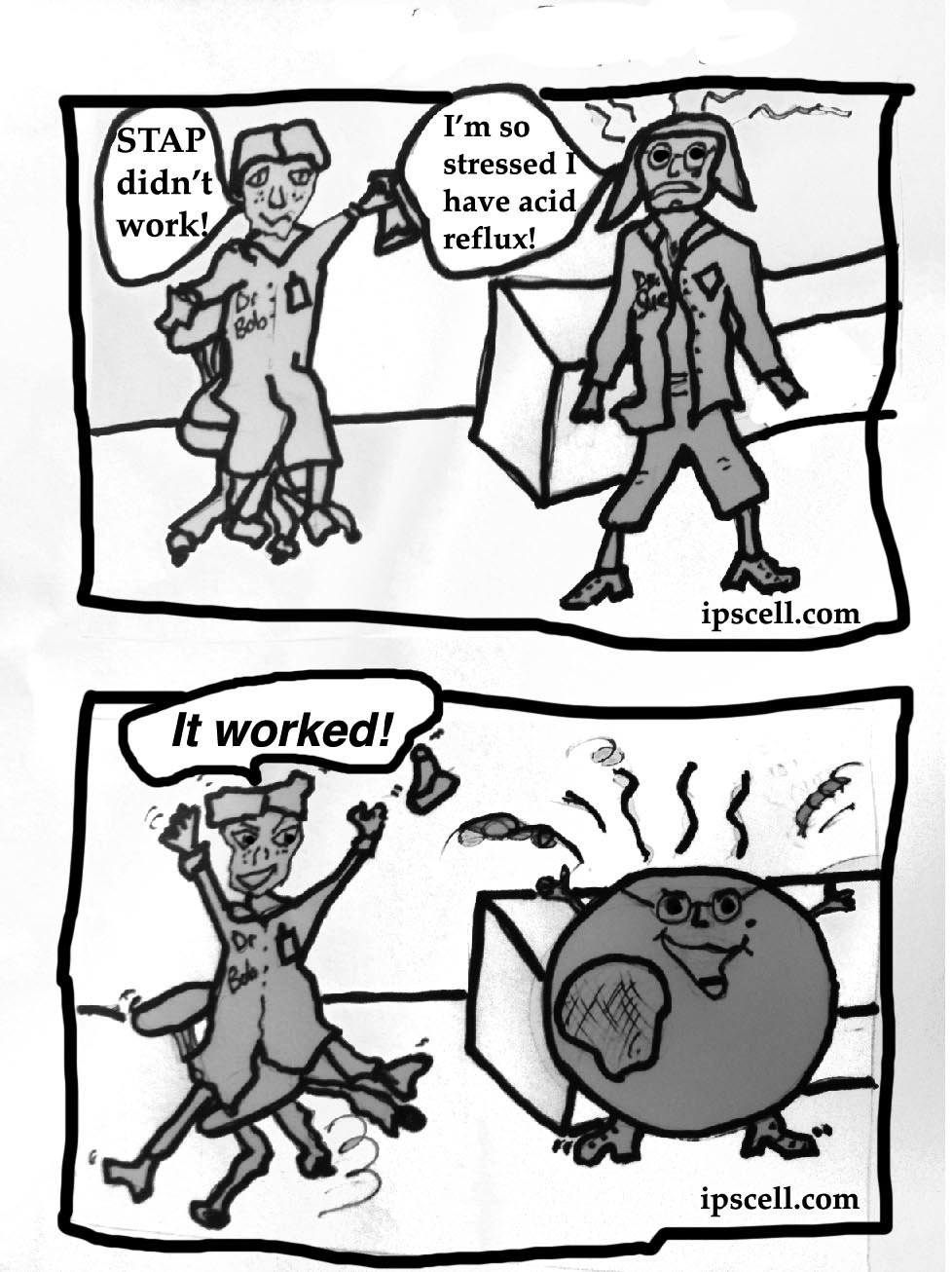 TGIF! Some attempts at humor to release STAP cell stress The Niche