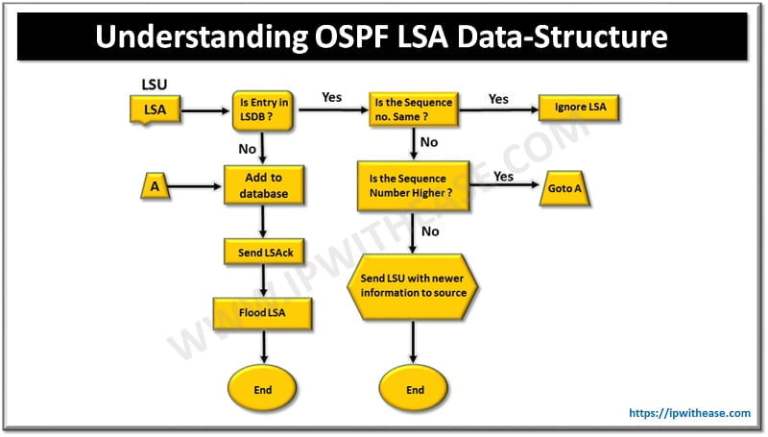OSPF Neighbor States Explained (OSPF States) - IP With Ease