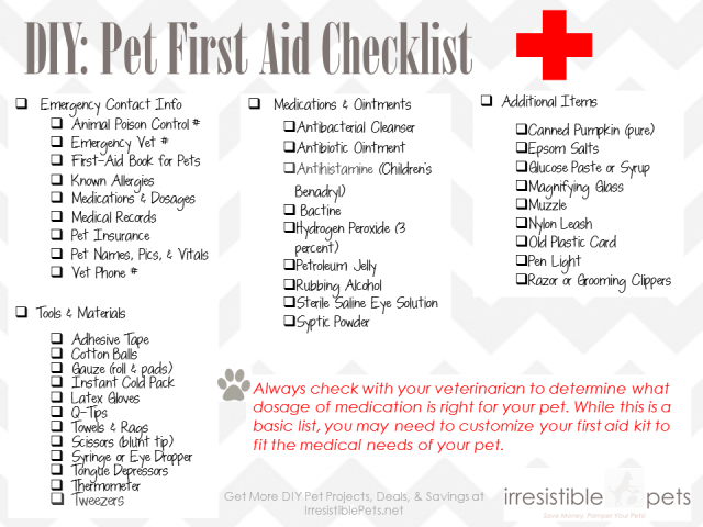 Risk assessments, an essential feature of office safety , allow the company to have an assessment of hazards, risk levels, employee exposure, and first aid response capabilities. Giveaway: DIY Pet First Aid Kit From Q-tips & Irresistible Pets - Irresistible Pets