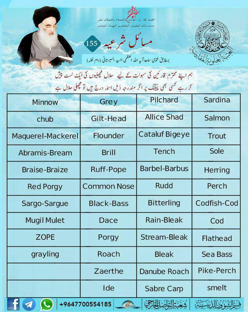 paten244
