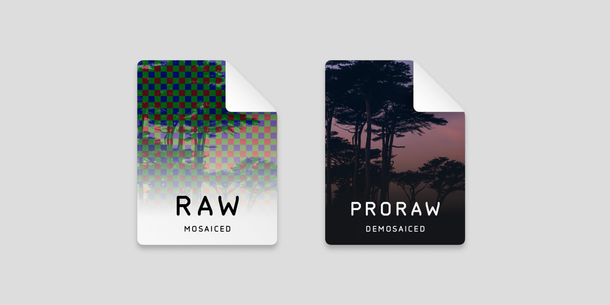 Разработчик Halide: новый формат Apple ProRAW — это немного улучшенный DNG, который существует с 2004 года