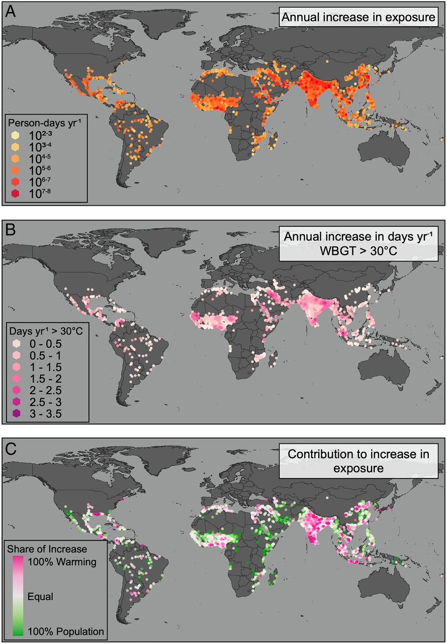 Исследование: Экстремальная жара всё больше воздействует на городское население