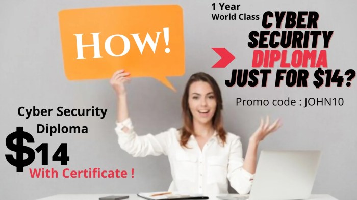 1 Year Diploma in Cyber Security Course 1 Year Diploma in Cyber Security Course