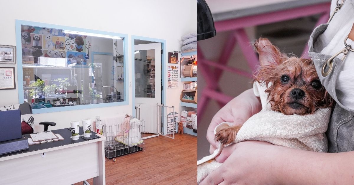 Happy Dog寵物精品沙龍 |台中南屯寵物美容推薦，半開放式的美容空間，讓爸媽和毛孩都能夠放鬆自在！