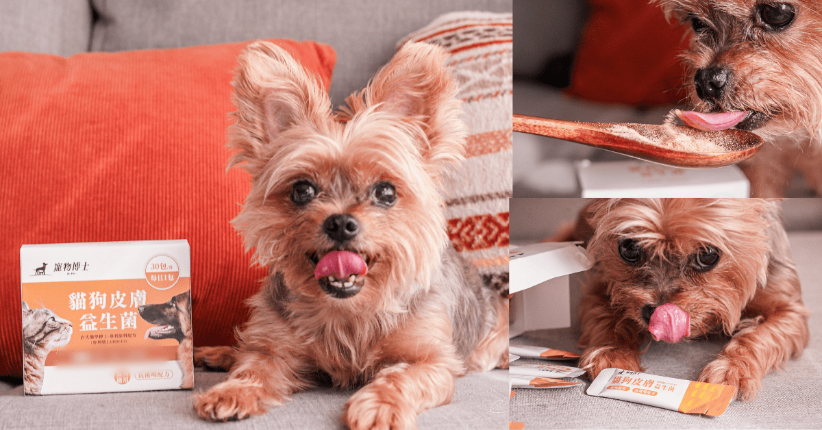 寵物博士貓狗皮膚益生菌，寵物保健品推薦，為毛孩打造好吃、好餵、好吸收的益生菌！