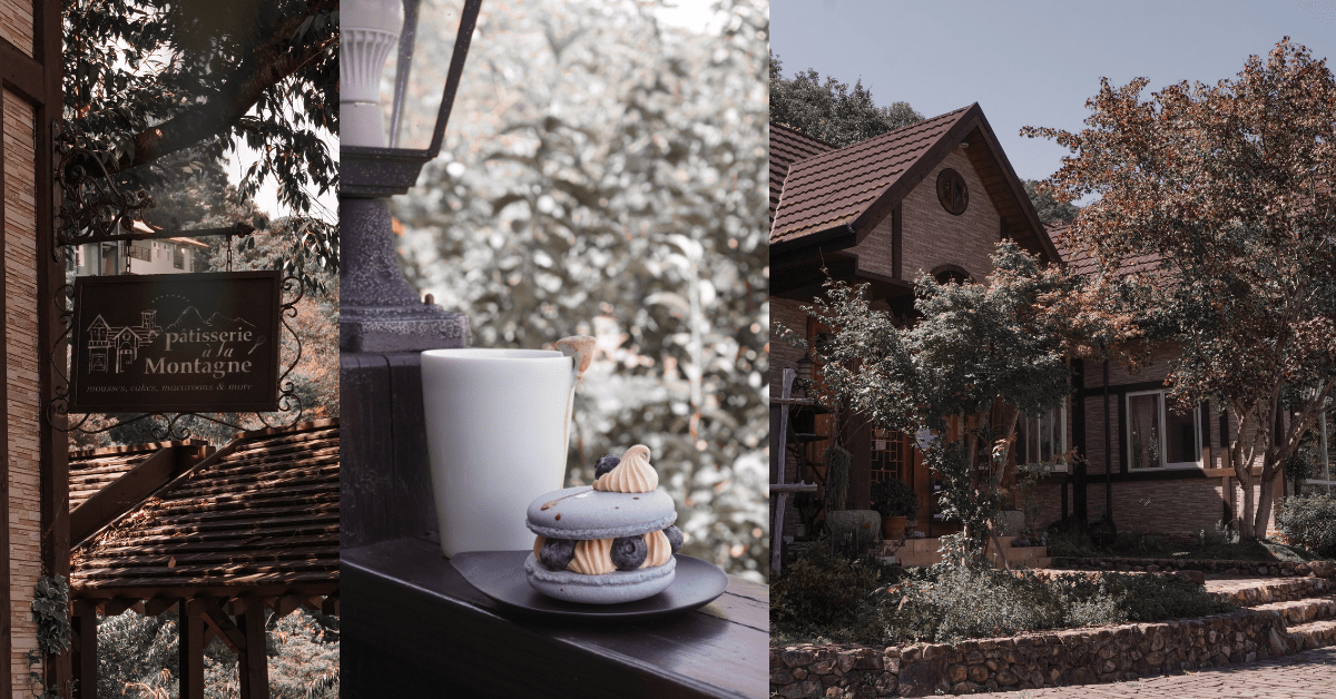 蒙塔妮手作甜點 |南投清境甜點店，森林系下午茶加景觀滿分的鄉村木屋，還能帶寵物讓人不愛上也難！