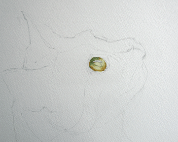 мастер класс как нарисовать кота