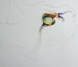 как нарисовать фиолетовый кот