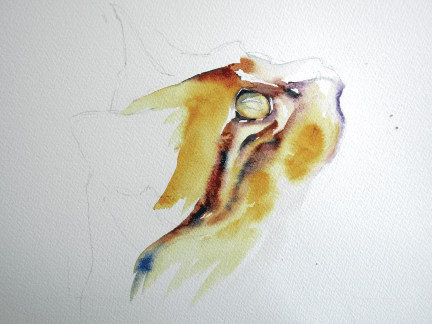 мастер класс как нарисовать кота