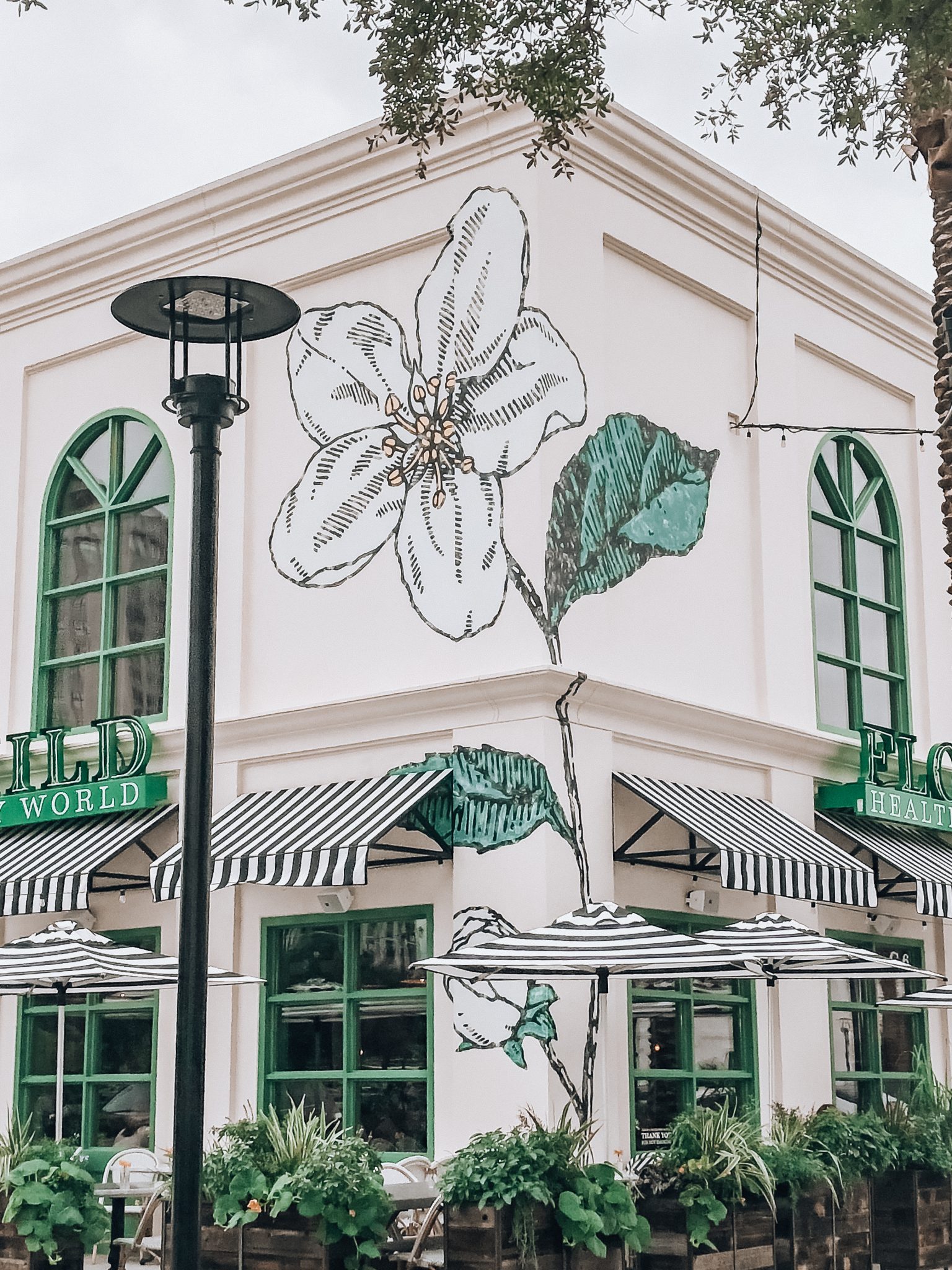 Houston Hotspots for a Bright White Feed Texan Travels