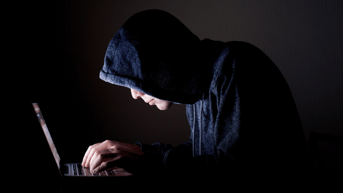 L Entreprise Druydes Victime D Un Pirate Informatique J Aime Dijon