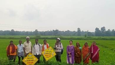 Promotion of Nano Fertilizers : खेतों में नैनो यूरिया छिड़काव का चल रहा प्रदर्शन…! किसानों को बता रहे छिड़काव का तरीका और लाभ