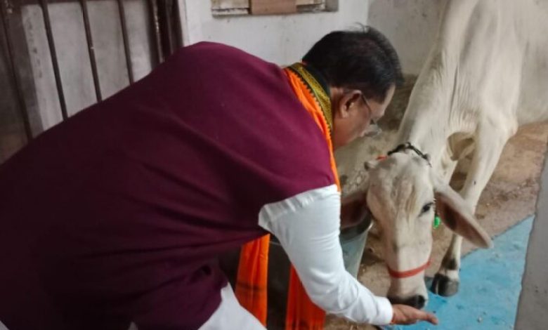CM Vishnu : मुख्यमंत्री साय ने सीएम हाउस में गौमाता को रोटी और गुड़ खिलाकर प्रदेशवासियों के कल्याण की प्रार्थना की, गौ-सेवा से ही मिलती है सच्ची शांति और ऊर्जा – मुख्यमंत्री विष्णु देव साय CM Vishnu : मुख्यमंत्री साय ने सीएम हाउस में गौमाता को रोटी और गुड़ खिलाकर प्रदेशवासियों के कल्याण की प्रार्थना की, गौ-सेवा से ही मिलती है सच्ची शांति और ऊर्जा – मुख्यमंत्री विष्णु देव साय