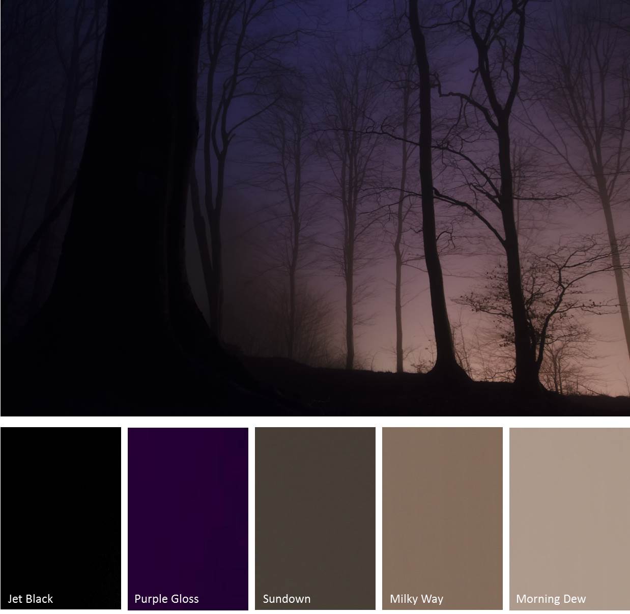 Spooky halloween color palette created by rainbowfireheart335 that consists #000000,#ff7930,#a73ae7,#f93636,#ff7b0f colors. Halloween Inspired Hues Jb Cutting