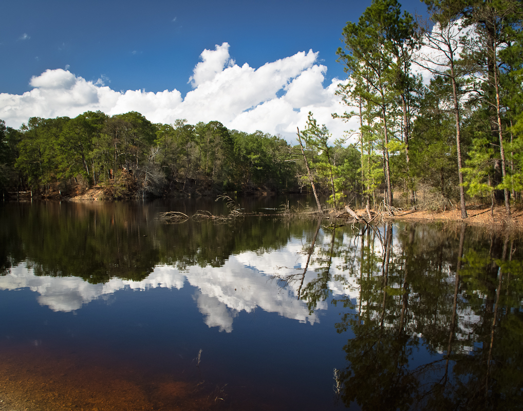 There are 11 pet friendly vacation rentals in bastrop, tx. 1000+ images about Bastrop State Park on Pinterest | State
