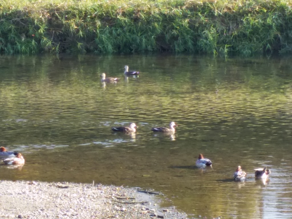 花背山の家までサイクリングしてきました 山の中にあるので 正確には ほとんどハイキングですが 前編 人生一度 腰椎破裂骨折にも負けない