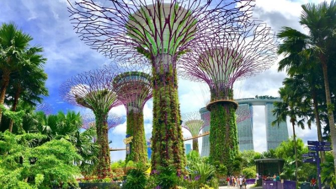 Особенно многолюдно здесь с мая по октябрь, в отдельные дни до 1 . Progulka Po Rodnomu Gorodu Sochinenie Opisanie Kratkoe Soderzhanie Analiz Biografiya Harakteristika Test Otzyv Statya Referat Gdz Kniga Pereskaz Soobshenie Doklad Literatura Chitat Onlajn