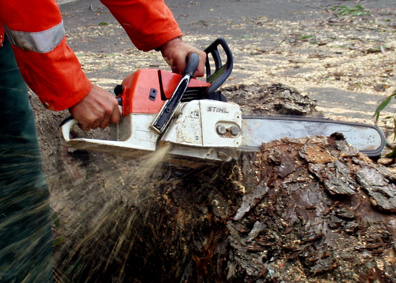 A New Chainsaw Joshua's Blog