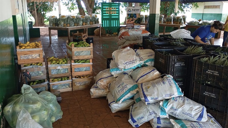 Cesta Verde
