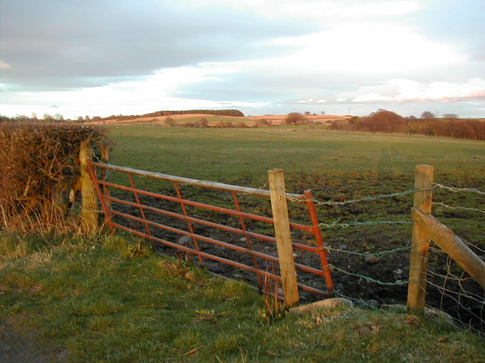 Christmas Fair at the Farm - Jody Robbins | Travels with Baggage
